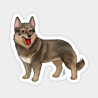 Dog - Swedish Valhund - Red Tailed Magnet