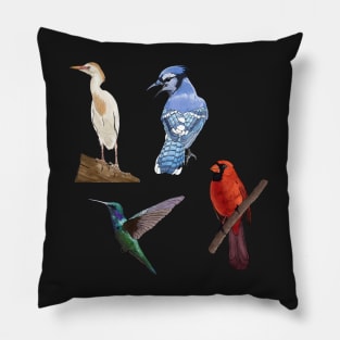 East Cost Birds Detailed Illustration Four Pack (Egret, Blue Jay, Hummingbird, Cardinal) Pillow