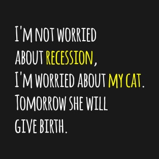 I'm not worried about recession, I'm worried about my cat. Tomorrow she will give birth. T-Shirt