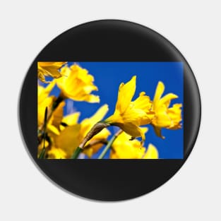 Blue and Yellow Pin