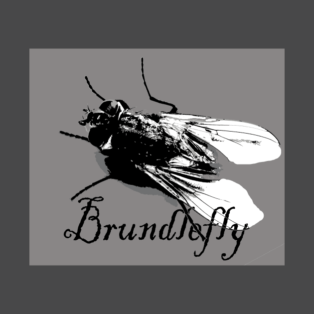 Brundlefly by IckyScrawls