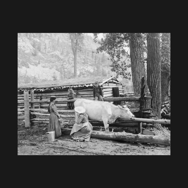 Mountain Homestead, 1906. Vintage Photo by historyphoto