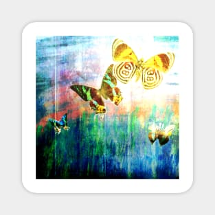 Butterflies on Wooden Fence - Blue Tones Magnet