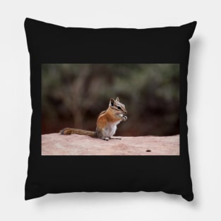 Chip on a rock Pillow