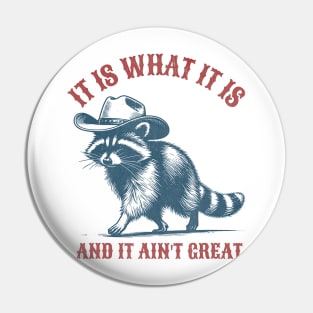 It Is What It Is And It Ain't Great Raccoon Sarcastic Pin