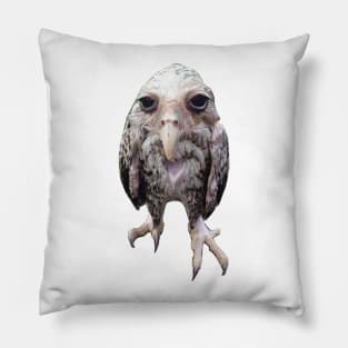 Wet owl Pillow