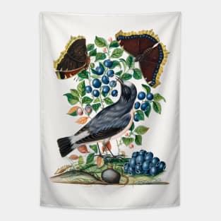 Northern Wheatear, Bilberry and Camberwell Beauty and Pupa Tapestry