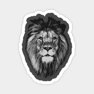 Lion head, Animals svg, Lion SVG, Lion King SVG Lion svg file Magnet