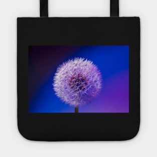 Single dandelion seed head close up Tote