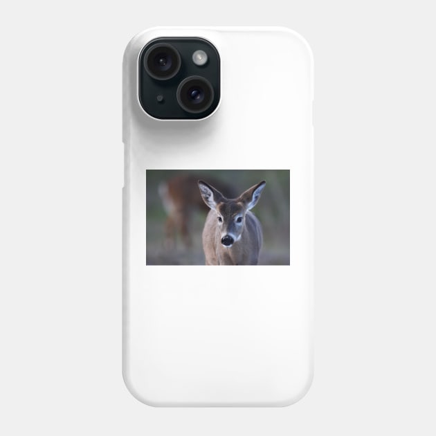 Pretty doe - White-tailed Deer Phone Case by Jim Cumming
