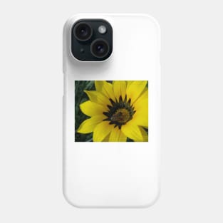 Gazania 12 - Gazania with Bee photograph Phone Case