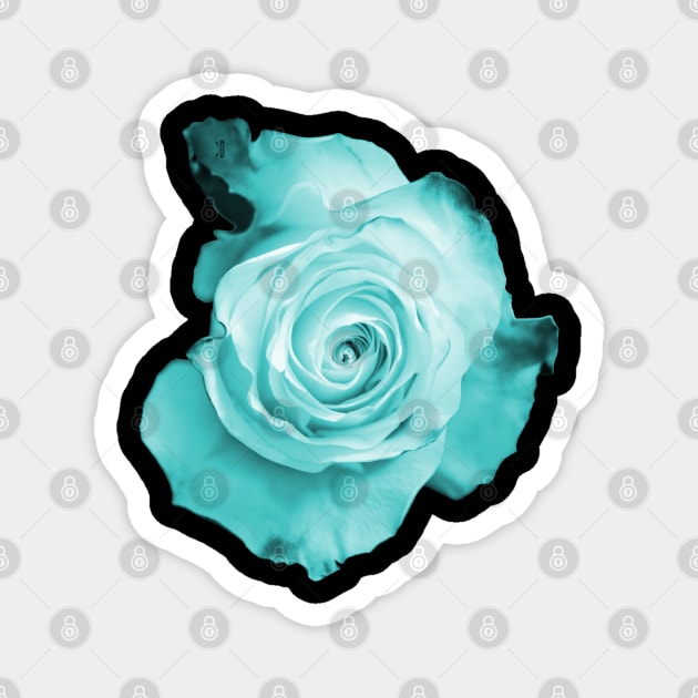 Blue Rose Magnet by RaphaelWolf