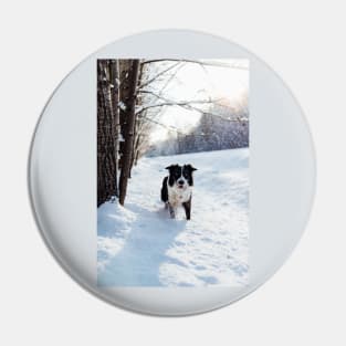 Border Collie Pin