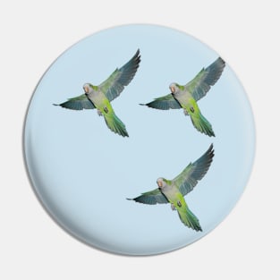 Flying parakeets Pin