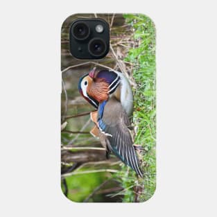 Mandarin Duck II / Swiss Artwork Photography Phone Case