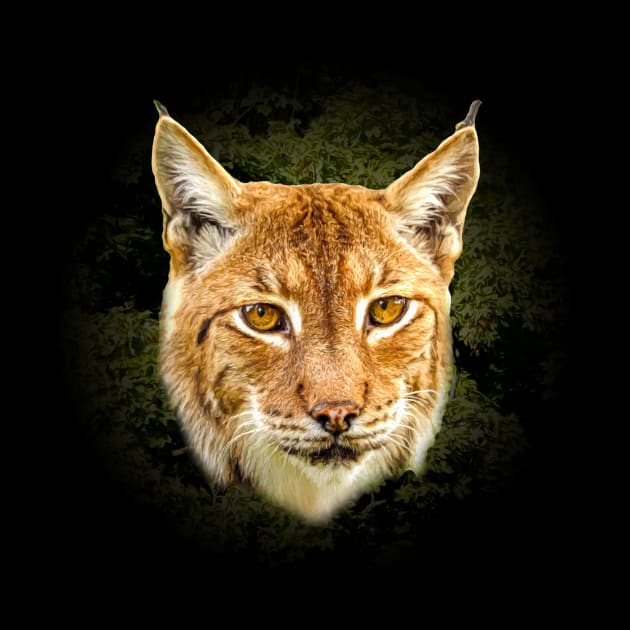 Lynx by Guardi