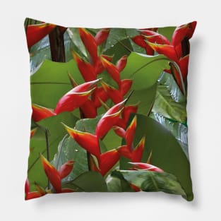 heliconia bihai Pillow