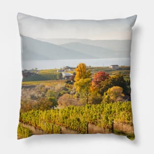 Okanagan Valley Vineyards in October Pillow