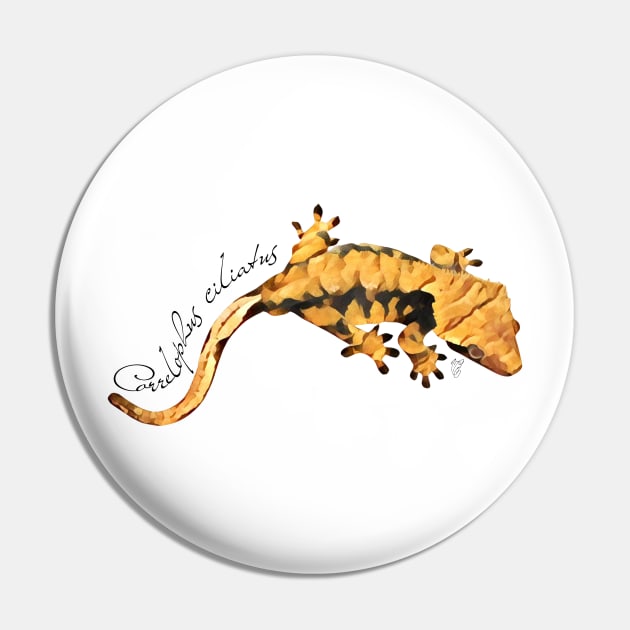 Crested gecko art Pin by austinmg
