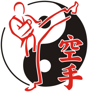 Yin Yang Asian Martial Arts Karate Fighter Magnet