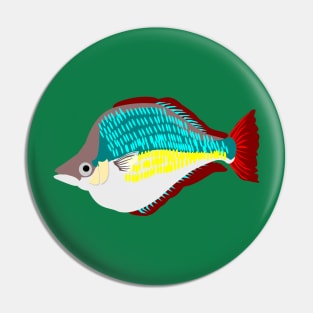 Red Rainbowfish Pin