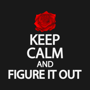 Keep calm and figure it out T-Shirt