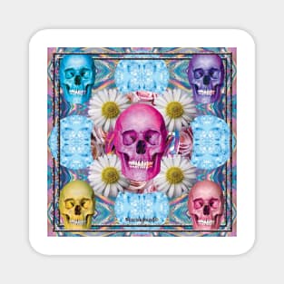 CANDY COLORED SKULL BBS Magnet