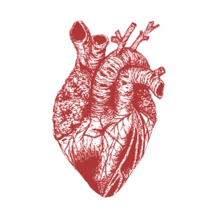 red heart drawing transparent T-Shirt