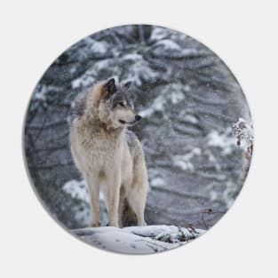 Gray Wolf Pin