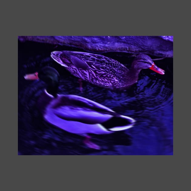 PurpleDuck01 by StoreName01