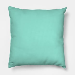 Cool Mint Pillow