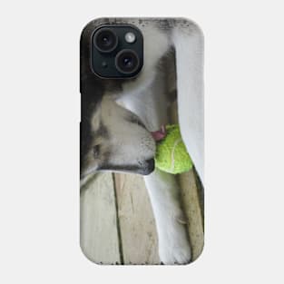 Husky Dog Phone Case