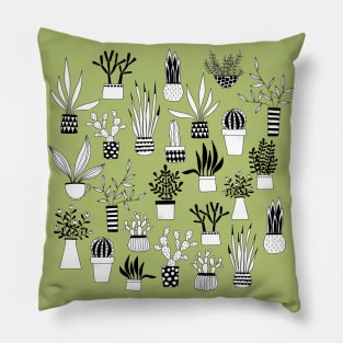 Cactus, Cacti and Succulent Drawings Pillow