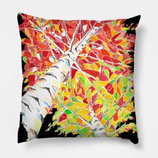 Dazzling fall colors on birch trees Pillow