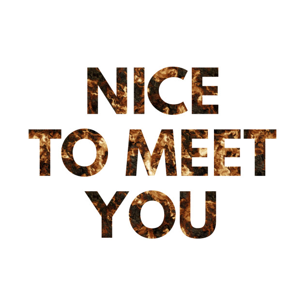 Nice To Meet You Nice To Meet You Kids Hoodie Teepublic