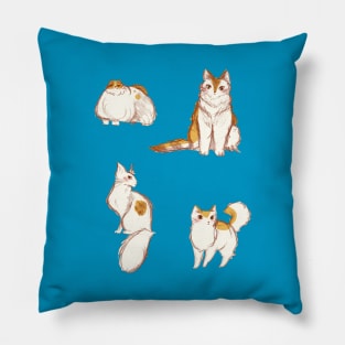 Cute Fluffy Cats Pillow