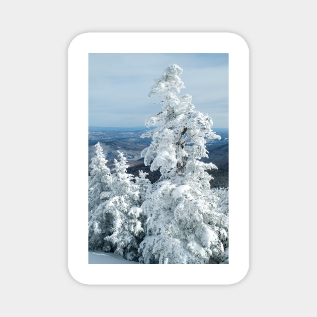 View From Mt. Killington Magnet by srwdesign