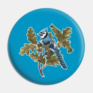 Blue Jay Pin