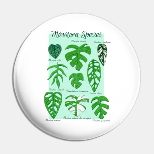 Monstera Species in Gouache- Mint Pin