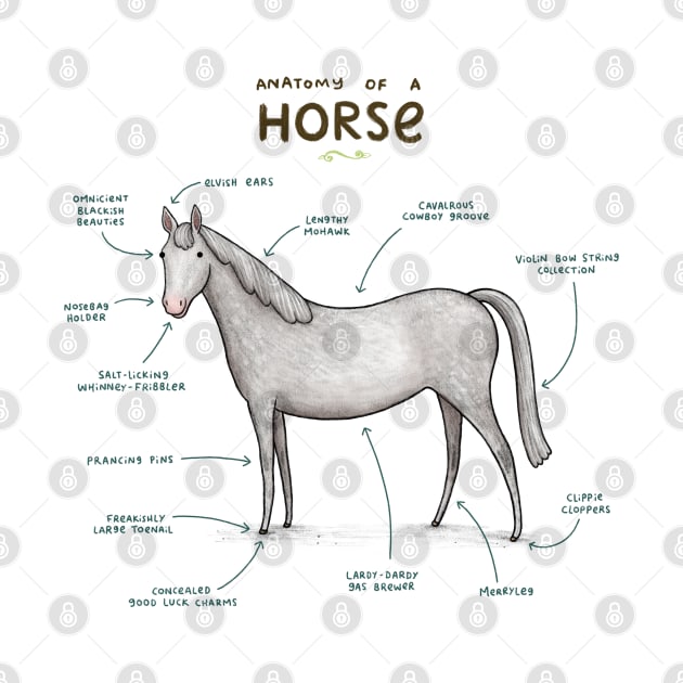 Anatomy of a Horse by Sophie Corrigan