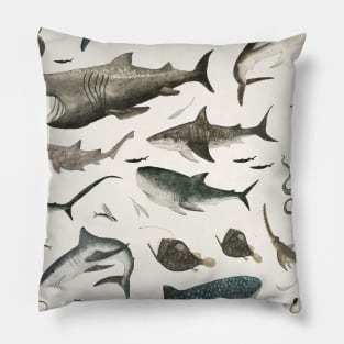 Sharks Pillow