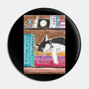 Kitty cat sleeping on books Pin