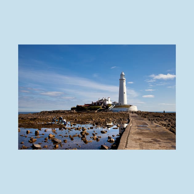 St Mary's Island and Lighthouse by Violaman