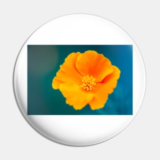 Close-up of a California poppy Pin