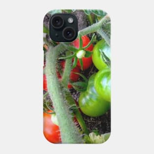 Tomato Branch, Phone Case