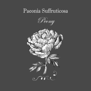 Peony Flower - Botanical illustration with Latin Name. T-Shirt