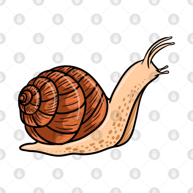 Snail by Sticker Steve