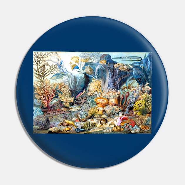 Ocean Life, James M. Sommerville 1859 Pin by rocketshipretro