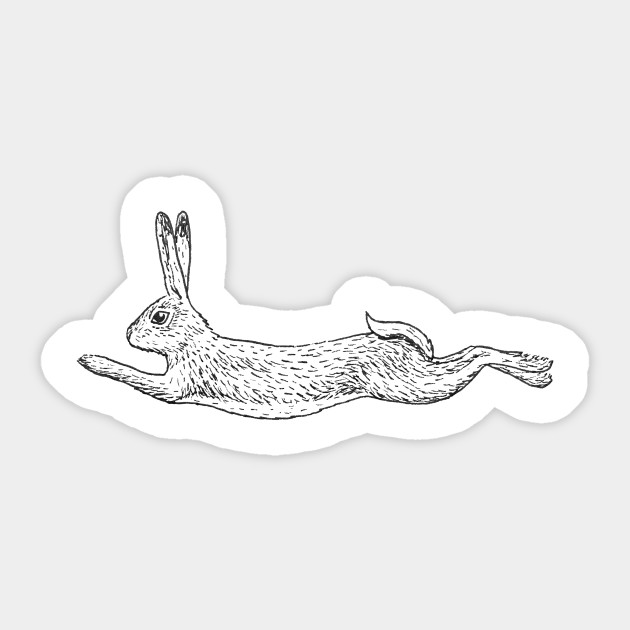 Running Rabbit
