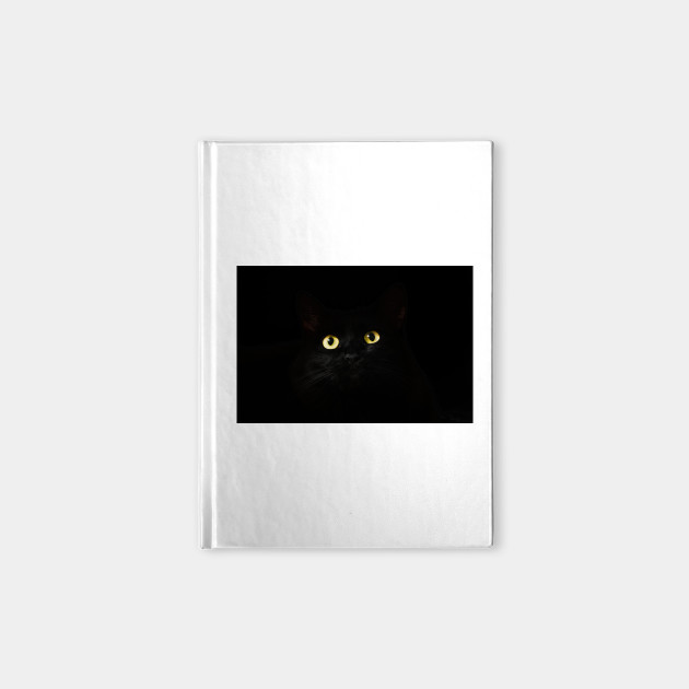 Black Cat in Darkness